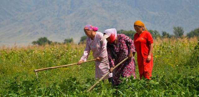 International Day of Rural Women observed globally